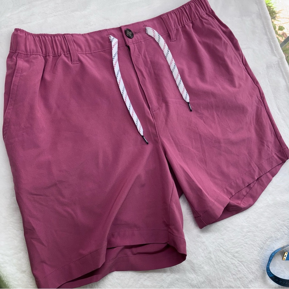 Chubbies Men’s Mauve Drawstring Elastic Waistband Quick Dry Casual Shorts